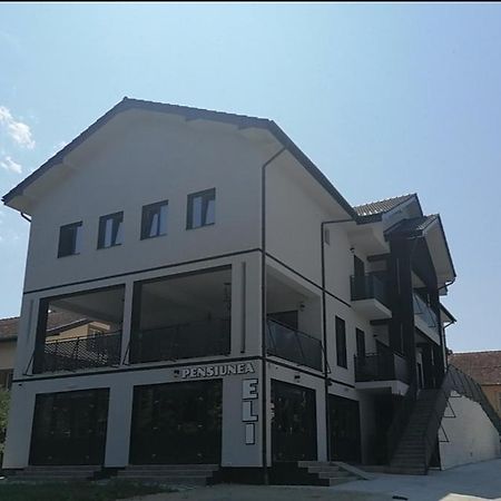 Pensiunea Eli Buziaş Zewnętrze zdjęcie