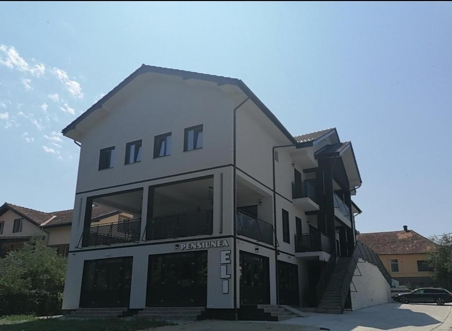 Pensiunea Eli Buziaş Zewnętrze zdjęcie